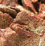"CINNABAR"
