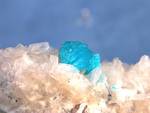 "CAVANSITE"