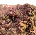 "KAMMEMERITE"