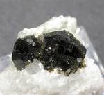 "UVITE"
