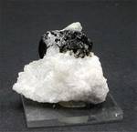 "UVITE"