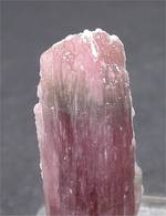 "LIDDICOATITE"