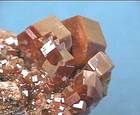 "VANADINITE"