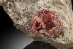 "CINNABAR"
