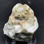 "APATITE"