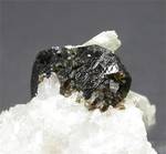 "UVITE"