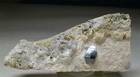 "ANATASE"