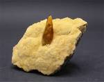 "BARITE"