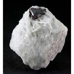 "TANTALITE"
