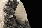 "CALCITE & GALENA"