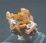 "WULFENITE"