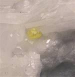 "SULFUR"