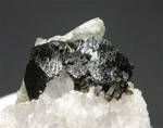 "UVITE"